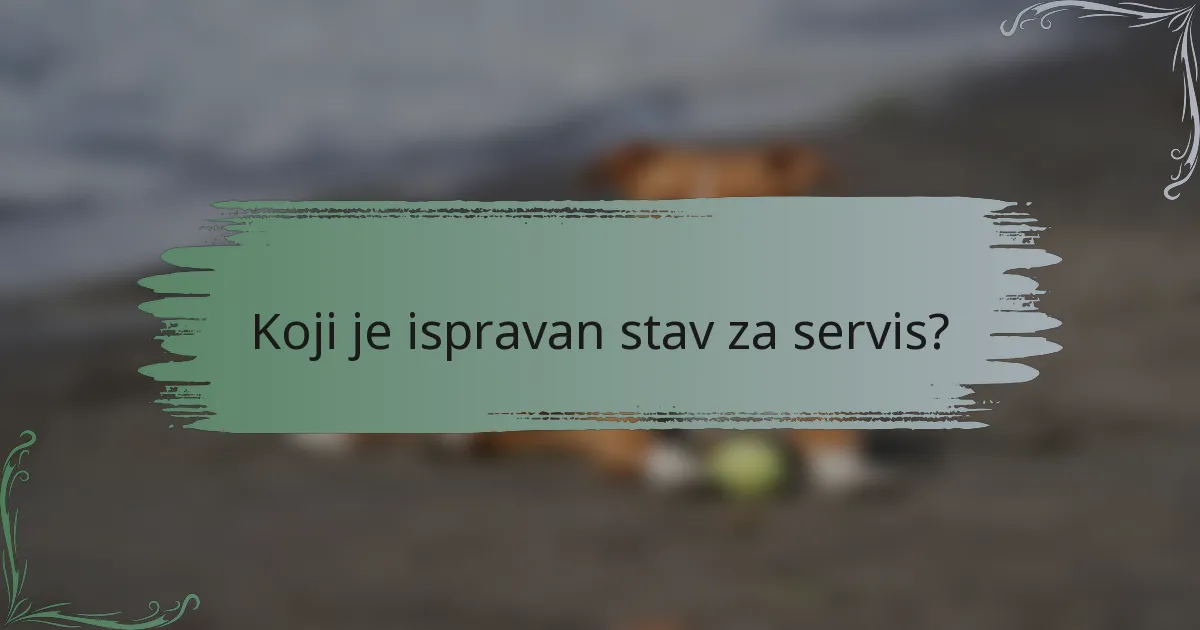 Koji je ispravan stav za servis?